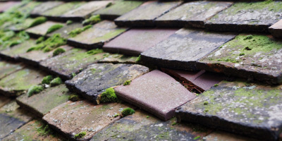 Fallowfield roof repair costs